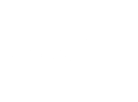 Delolitte Delolitte